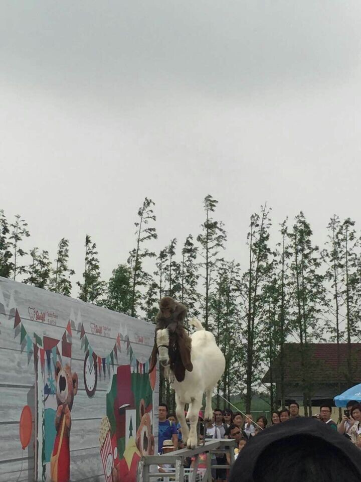 18����luck��(�й�)-�ٷ���վ