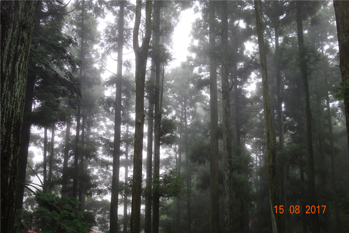 18����luck��(�й�)-�ٷ���վ